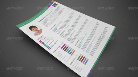 Modello curriculum