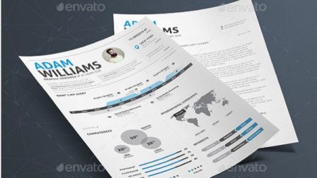 Modello curriculum