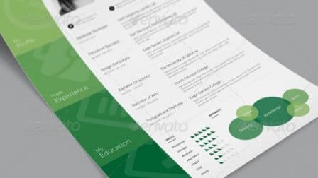 Modello curriculum colorato