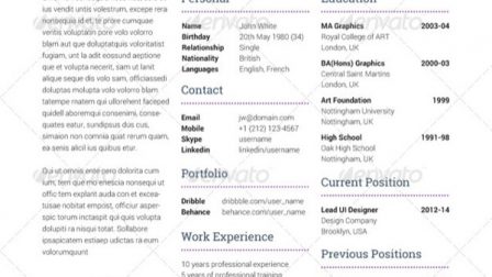 Modello curriculum